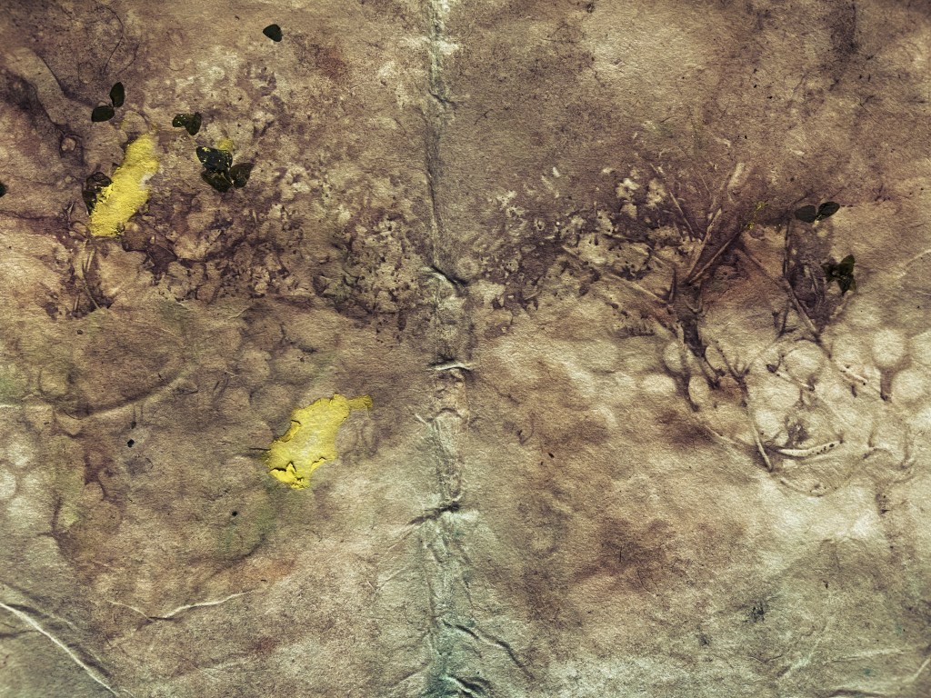 River Sketchbook –&nbsp;2.