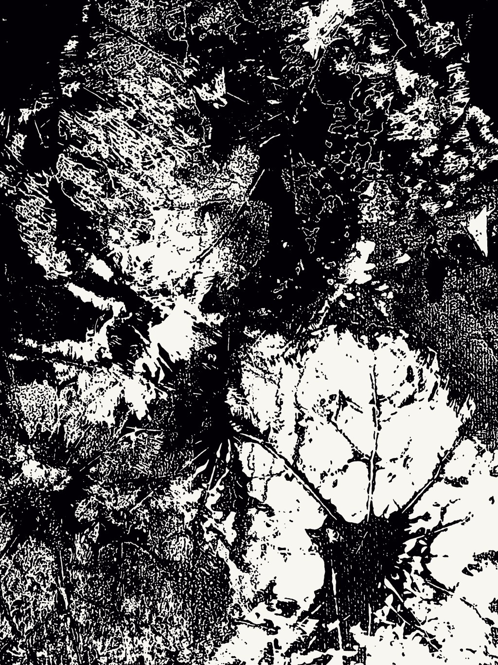 Feedback – Project/Assignment 1.