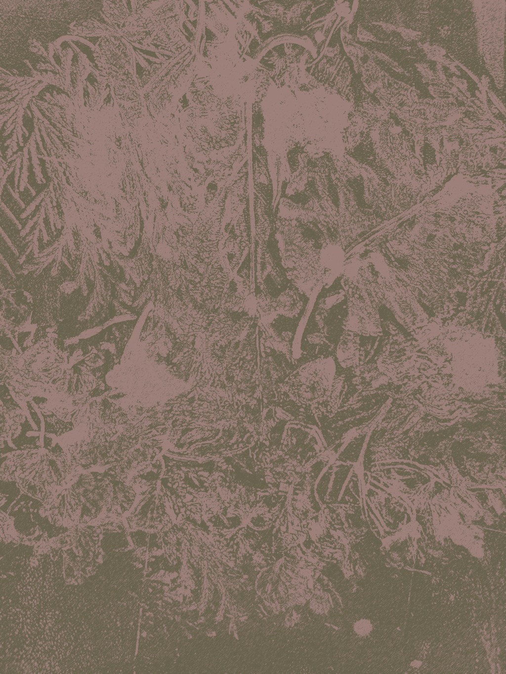 Feedback Project –&nbsp;2