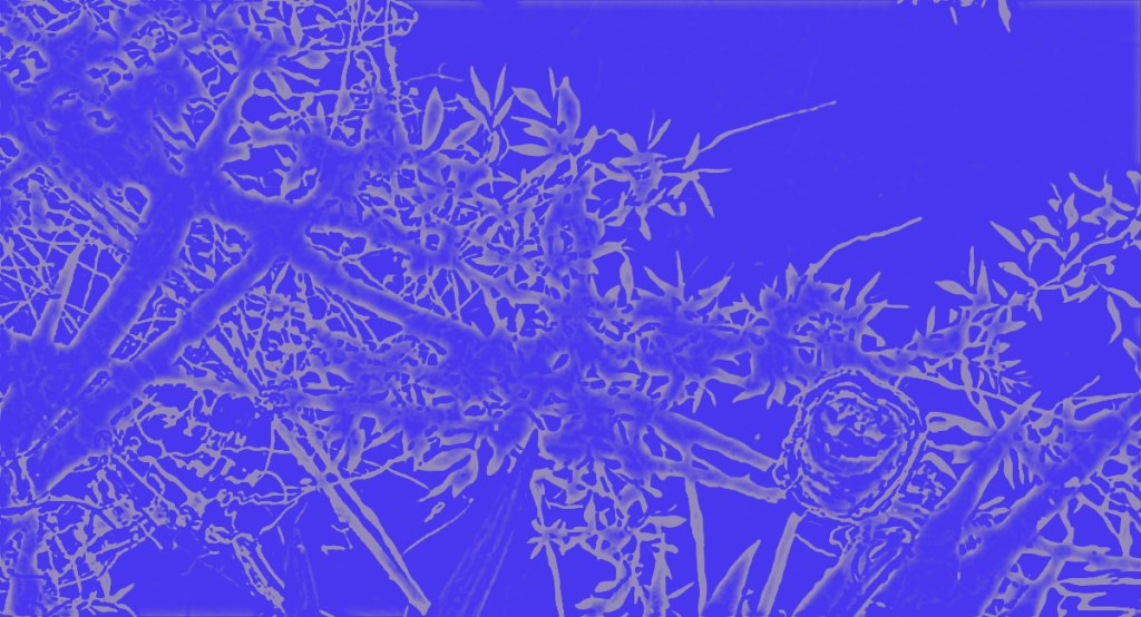 Feedback Project –&nbsp;5