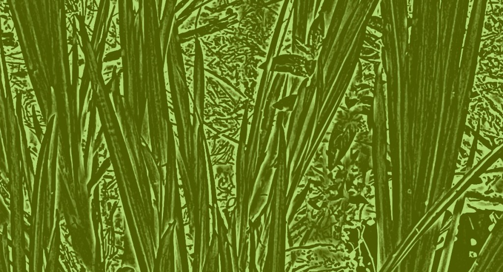 Supporting sketchbook work