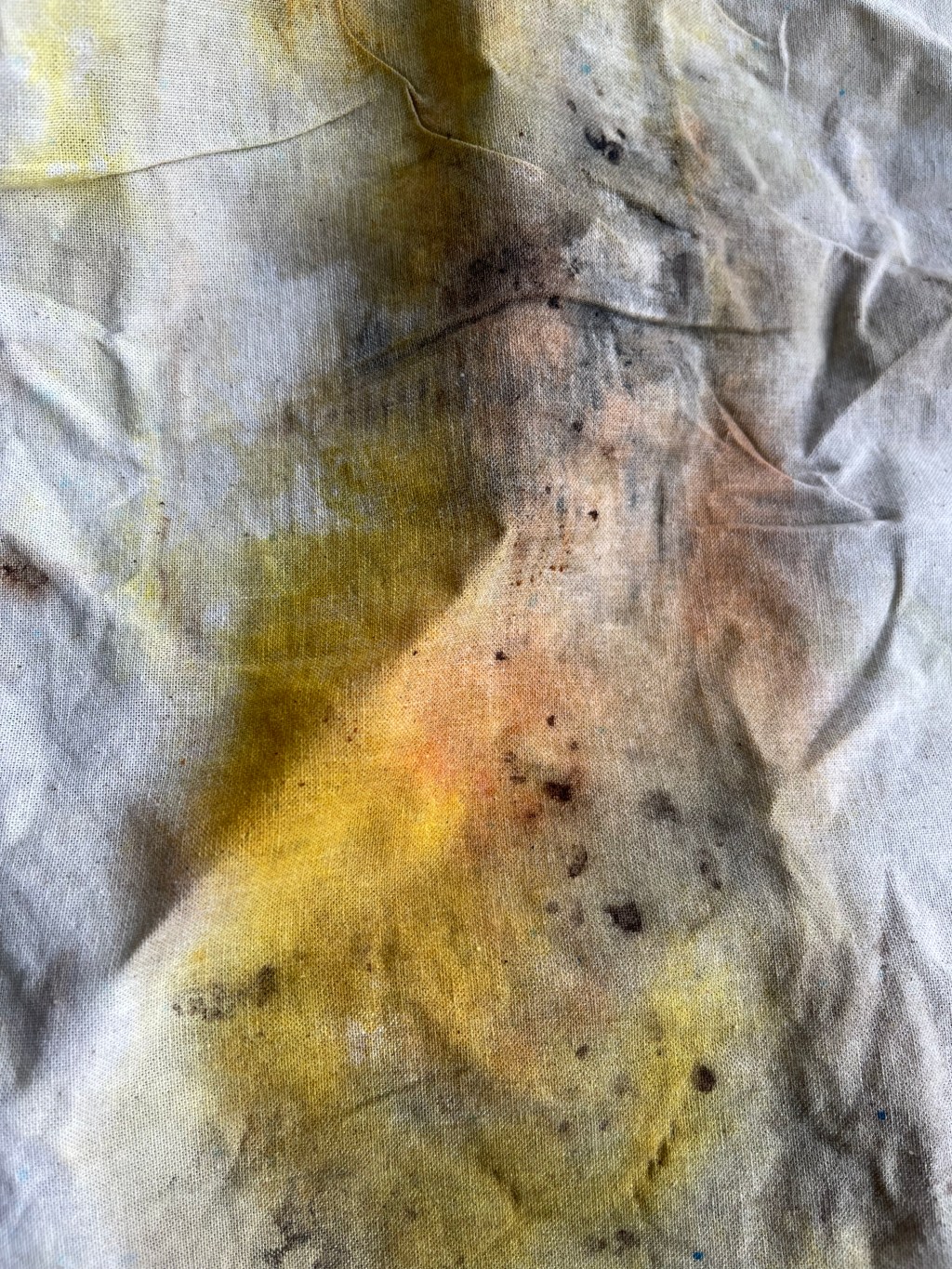 Ana Mendieta